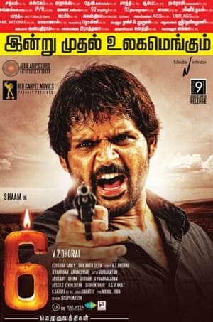 6 Candles (2013) Dubbed | Dubbed Hindi Movie HDRip 350MB