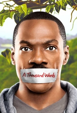 A Thousand Words (2012) Dual Audio | Dubbed Hindi Movie BluRay 300MB