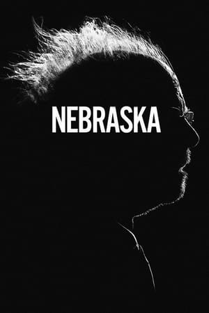 Nebraska 2013 Dual Audio Movie | Dubbed Hindi Movie BluRay - 1GB