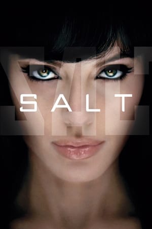 Salt (2010) Dual Audio | Dubbed Hindi Movie BluRay [800MB]
