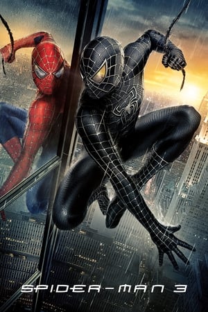Spider-Man 3 (2007) Movie Dual Audio | Dubbed Hindi Movie Bluray [800MB]