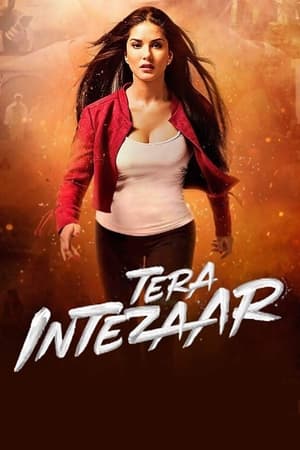Tera Intezaar 2017 Movie | Dubbed Hindi Movie HDRip x264 [850MB]